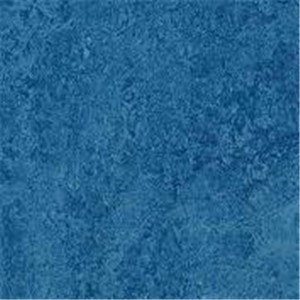 Blue Pearl 12&quot; x 12&quot; Polished Granite Floor Tile
